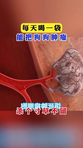 解析“狗狗可以吃扑尔敏吗”你不知道的事-第1张图片 解析“狗狗可以吃扑尔敏吗”你不知道的事-第1张图片