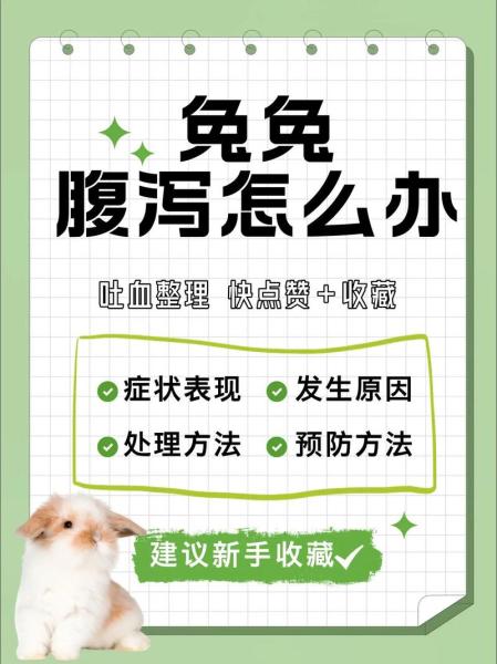作为消费者“兔子拉稀怎么办”你不能不知道