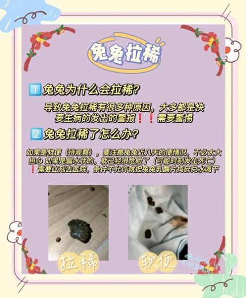 作为消费者“兔子拉稀怎么办”你不能不知道-第4张图片 作为消费者“兔子拉稀怎么办”你不能不知道-第4张图片