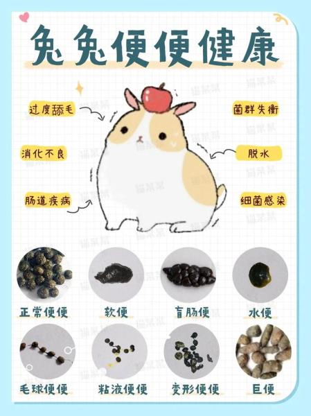 作为消费者“兔子拉稀怎么办”你不能不知道-第6张图片 作为消费者“兔子拉稀怎么办”你不能不知道-第6张图片
