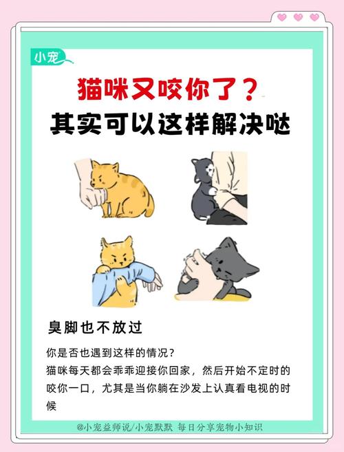 作为消费者“被猫”你不能不知道-第3张图片 作为消费者“被猫”你不能不知道-第3张图片