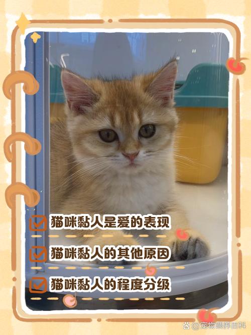 作为消费者“被猫”你不能不知道-第4张图片 作为消费者“被猫”你不能不知道-第4张图片