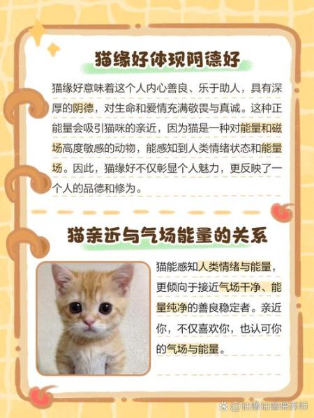作为消费者“被猫”你不能不知道-第5张图片 作为消费者“被猫”你不能不知道-第5张图片
