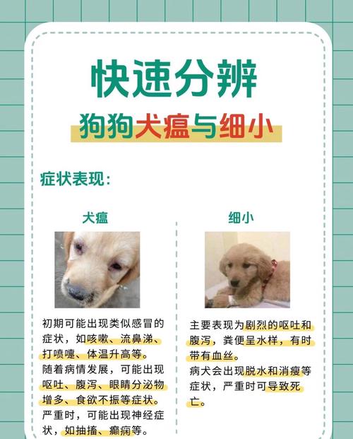 解析“犬瘟热病毒”你不知道的事-第4张图片 解析“犬瘟热病毒”你不知道的事-第4张图片