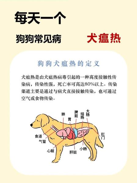 解析“犬瘟热病毒”你不知道的事-第7张图片 解析“犬瘟热病毒”你不知道的事-第7张图片