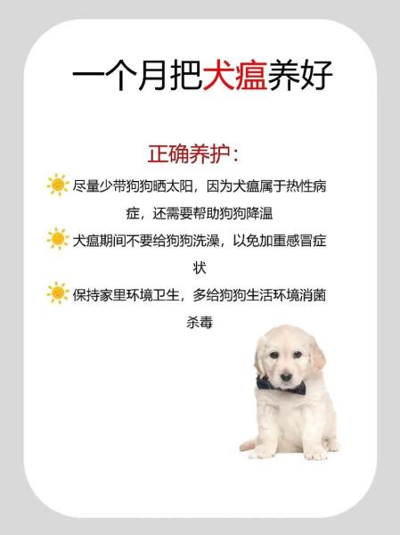 解析“犬瘟热病毒”你不知道的事-第10张图片 解析“犬瘟热病毒”你不知道的事-第10张图片