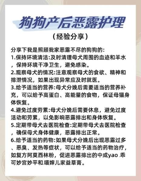 狗狗产后恶露多久干净-狗狗产后恶露排多久属于正常