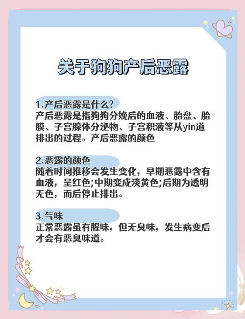 狗狗产后恶露多久干净-狗狗产后恶露排多久属于正常-第6张图片 狗狗产后恶露多久干净-狗狗产后恶露排多久属于正常-第6张图片