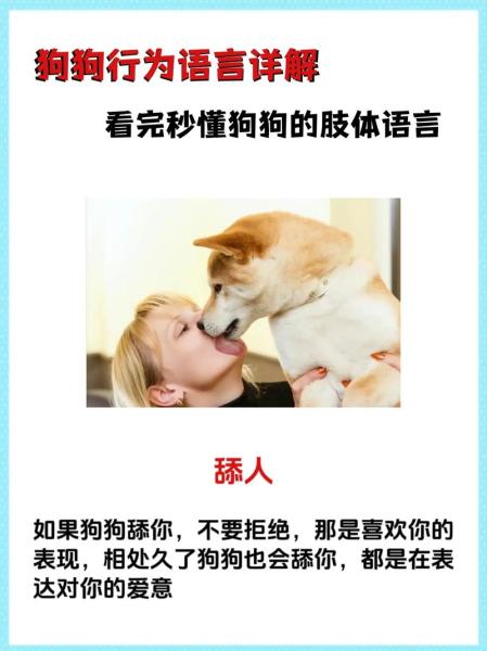 狗东西是什么意思/狗东西是什么意思?-第4张图片 狗东西是什么意思/狗东西是什么意思?-第4张图片
