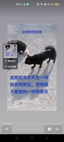 狗东西是什么意思/狗东西是什么意思?-第8张图片 狗东西是什么意思/狗东西是什么意思?-第8张图片
