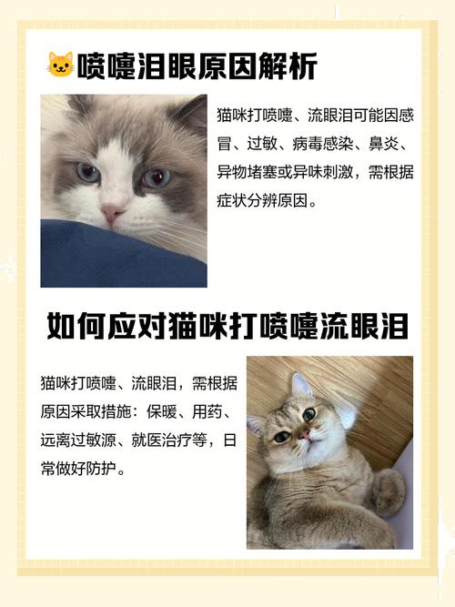 解析“猫咪流眼泪打喷嚏”你不知道的事