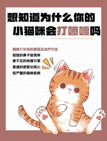解析“猫咪流眼泪打喷嚏”你不知道的事-第2张图片 解析“猫咪流眼泪打喷嚏”你不知道的事-第2张图片
