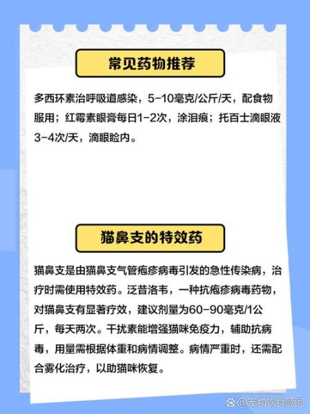 解析“猫咪流眼泪打喷嚏”你不知道的事-第4张图片 解析“猫咪流眼泪打喷嚏”你不知道的事-第4张图片