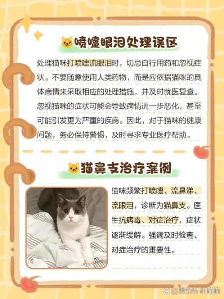 解析“猫咪流眼泪打喷嚏”你不知道的事-第7张图片 解析“猫咪流眼泪打喷嚏”你不知道的事-第7张图片