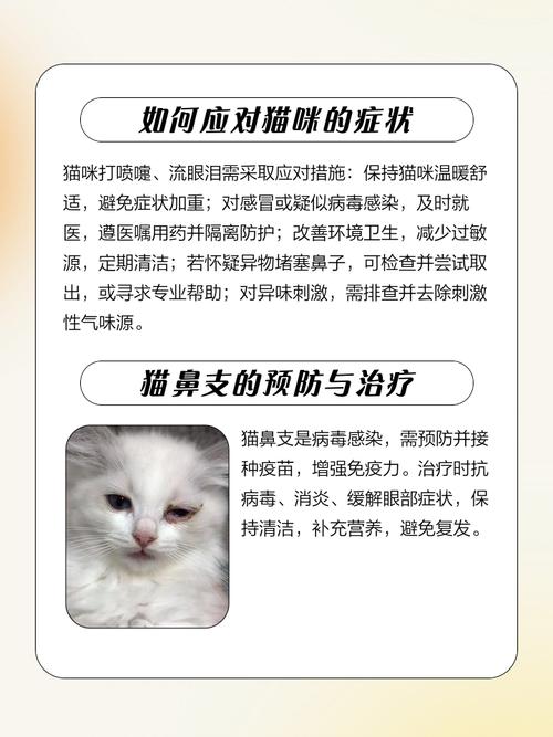 解析“猫咪流眼泪打喷嚏”你不知道的事-第9张图片 解析“猫咪流眼泪打喷嚏”你不知道的事-第9张图片