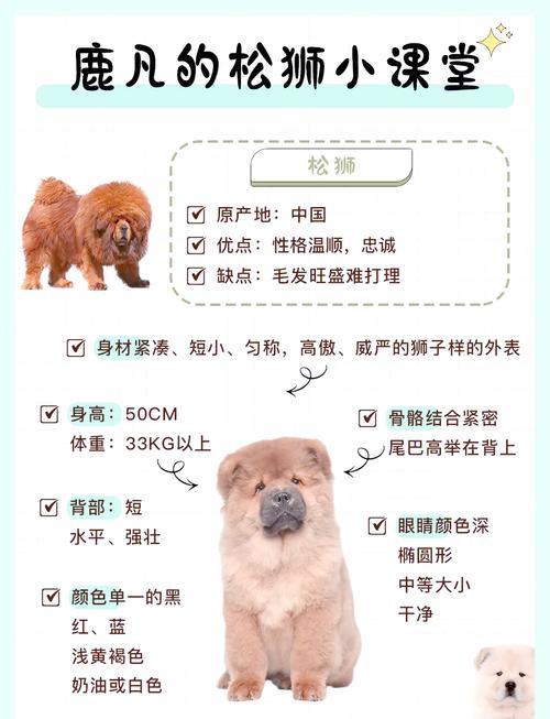 作为消费者“松鼠犬”你不能不知道-第1张图片 作为消费者“松鼠犬”你不能不知道-第1张图片