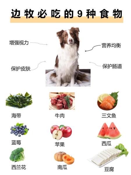 成年边牧吃什么食物比较好/成年边牧喂食标准-第7张图片 成年边牧吃什么食物比较好/成年边牧喂食标准-第7张图片