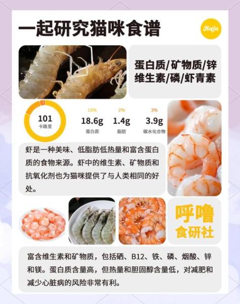 小猫可以吃虾吗-2个月小猫可以吃虾吗