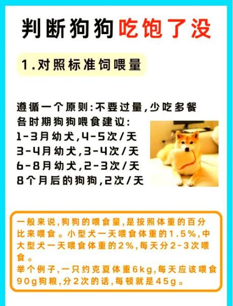 狗狗吃撑了症状,狗狗吃撑了症状老喝水-第6张图片 狗狗吃撑了症状,狗狗吃撑了症状老喝水-第6张图片
