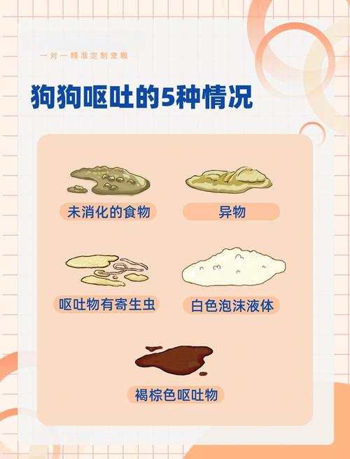 狗狗吃撑了症状,狗狗吃撑了症状老喝水-第9张图片 狗狗吃撑了症状,狗狗吃撑了症状老喝水-第9张图片