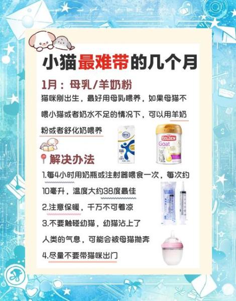 猫咪饲养注意事项/猫猫饲养-第2张图片 猫咪饲养注意事项/猫猫饲养-第2张图片