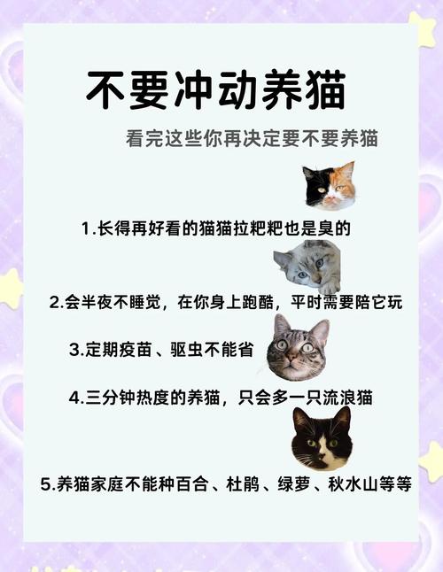 猫咪饲养注意事项/猫猫饲养-第3张图片 猫咪饲养注意事项/猫猫饲养-第3张图片
