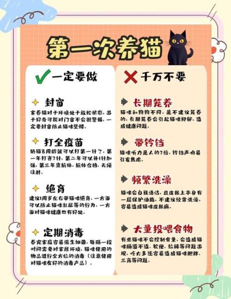 猫咪饲养注意事项/猫猫饲养-第5张图片 猫咪饲养注意事项/猫猫饲养-第5张图片