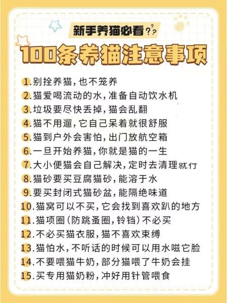 猫咪饲养注意事项/猫猫饲养-第6张图片 猫咪饲养注意事项/猫猫饲养-第6张图片
