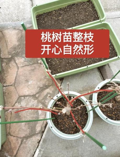 猫柳桃/猫柳桃原画深崎暮人-第2张图片 猫柳桃/猫柳桃原画深崎暮人-第2张图片