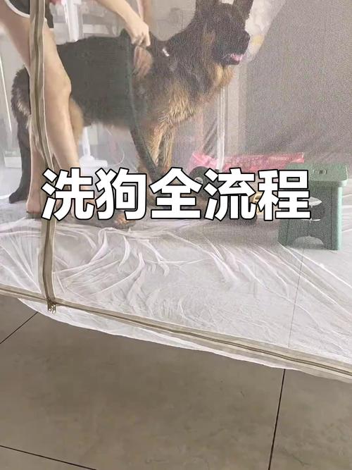 作为消费者“几个月的狗狗可以洗澡”你不能不知道-第3张图片 作为消费者“几个月的狗狗可以洗澡”你不能不知道-第3张图片