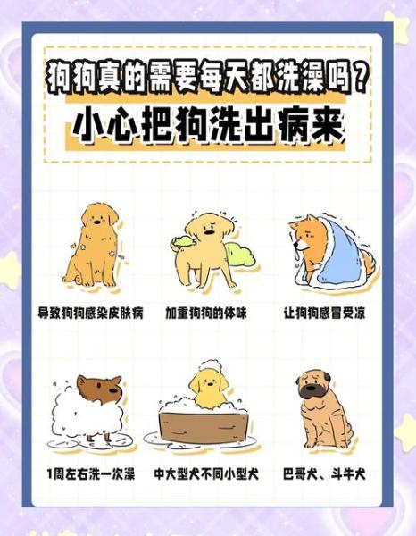 作为消费者“几个月的狗狗可以洗澡”你不能不知道-第5张图片 作为消费者“几个月的狗狗可以洗澡”你不能不知道-第5张图片