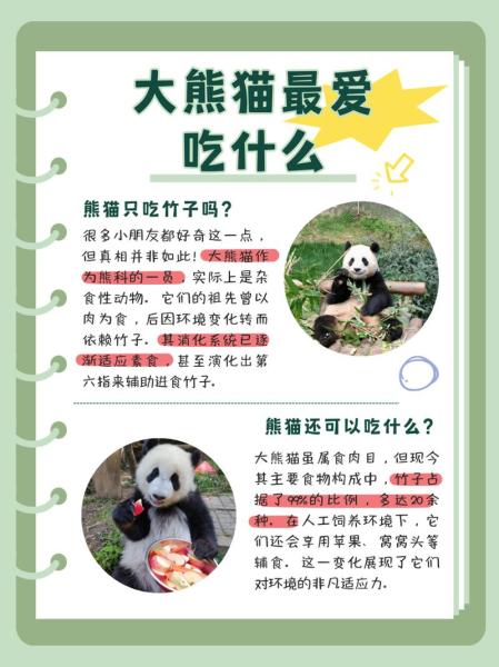 解析“熊猫的食物”你不知道的事-第1张图片 解析“熊猫的食物”你不知道的事-第1张图片