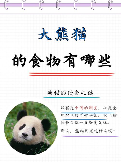 解析“熊猫的食物”你不知道的事-第4张图片 解析“熊猫的食物”你不知道的事-第4张图片