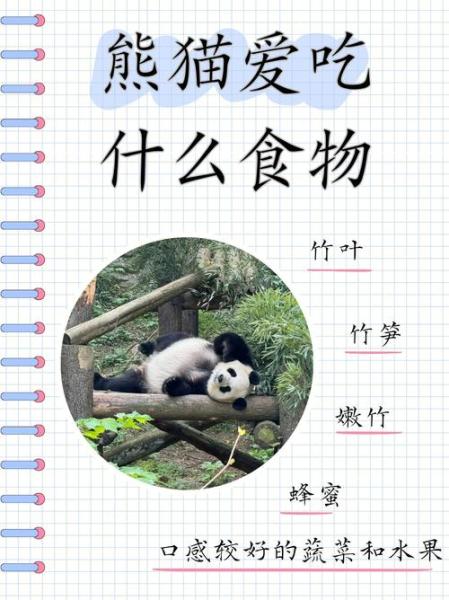 解析“熊猫的食物”你不知道的事-第5张图片 解析“熊猫的食物”你不知道的事-第5张图片