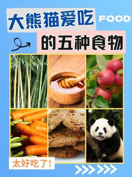 解析“熊猫的食物”你不知道的事-第10张图片 解析“熊猫的食物”你不知道的事-第10张图片