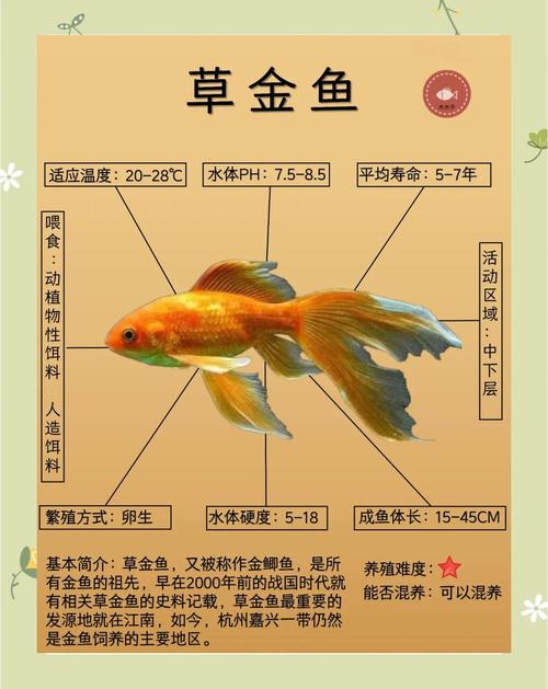 草金鱼多久喂一次/草金鱼招财还是破财-第2张图片 草金鱼多久喂一次/草金鱼招财还是破财-第2张图片