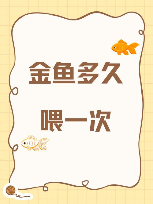 草金鱼多久喂一次/草金鱼招财还是破财-第3张图片 草金鱼多久喂一次/草金鱼招财还是破财-第3张图片