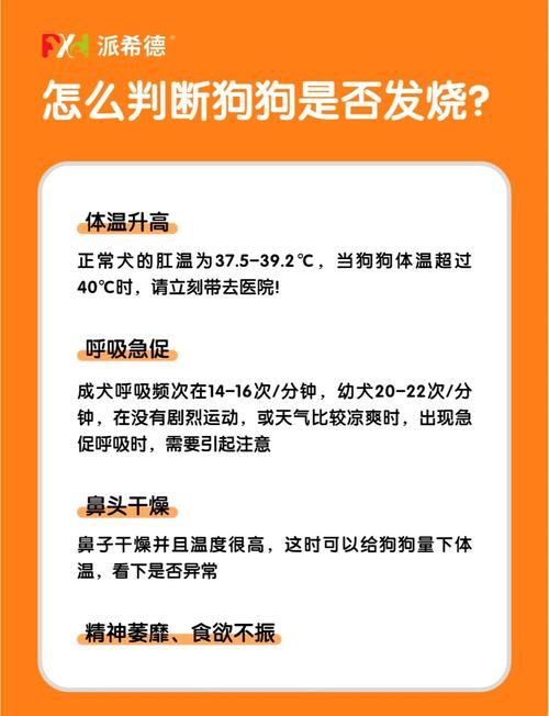 给狗狗量体温怎么量-给狗狗量体温怎么量?-第4张图片 给狗狗量体温怎么量-给狗狗量体温怎么量?-第4张图片