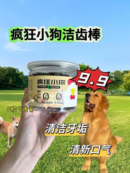 疯狂的狗-疯狂的狗的图片-第2张图片 疯狂的狗-疯狂的狗的图片-第2张图片
