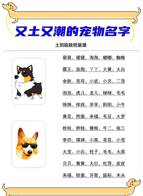 疯狂的狗-疯狂的狗的图片-第5张图片 疯狂的狗-疯狂的狗的图片-第5张图片