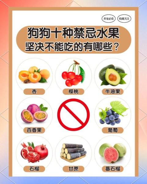 解析“小狗可以吃柚子吗”你不知道的事-第3张图片 解析“小狗可以吃柚子吗”你不知道的事-第3张图片
