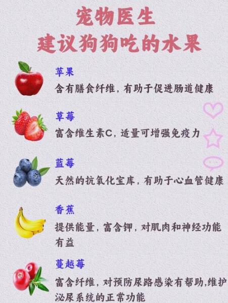 解析“小狗可以吃柚子吗”你不知道的事-第7张图片 解析“小狗可以吃柚子吗”你不知道的事-第7张图片