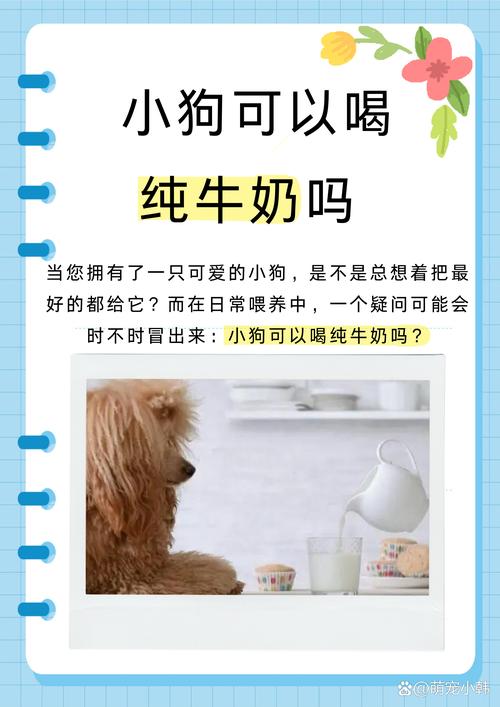 作为消费者“狗狗喝了牛奶怎么办”你不能不知道-第3张图片 作为消费者“狗狗喝了牛奶怎么办”你不能不知道-第3张图片