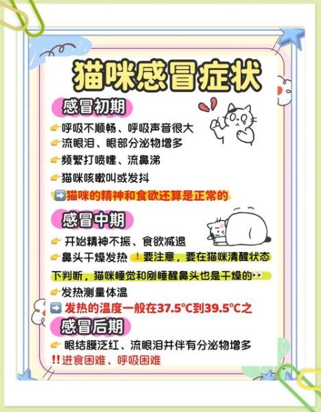 解析“猫咪怀孕感冒了怎么办”你不知道的事-第1张图片 解析“猫咪怀孕感冒了怎么办”你不知道的事-第1张图片
