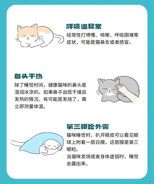 解析“猫咪怀孕感冒了怎么办”你不知道的事-第4张图片 解析“猫咪怀孕感冒了怎么办”你不知道的事-第4张图片