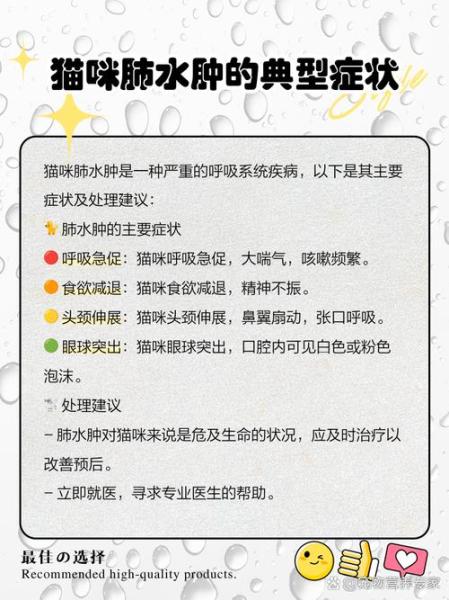 猫咪肺水肿症状-猫咪肺水肿症状表现-第1张图片 猫咪肺水肿症状-猫咪肺水肿症状表现-第1张图片