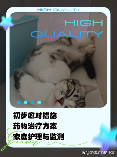 猫咪肺水肿症状-猫咪肺水肿症状表现-第2张图片 猫咪肺水肿症状-猫咪肺水肿症状表现-第2张图片