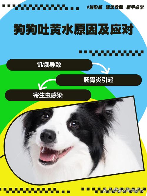 作为消费者“狗狗怀孕吐黄水正常吗”你不能不知道