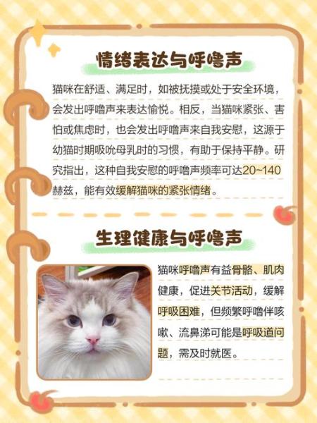 猫咪呼噜声很大-猫咪呼噜声很大是怎么回事