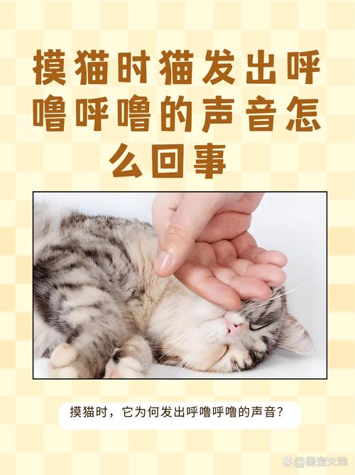 猫咪呼噜声很大-猫咪呼噜声很大是怎么回事-第2张图片 猫咪呼噜声很大-猫咪呼噜声很大是怎么回事-第2张图片